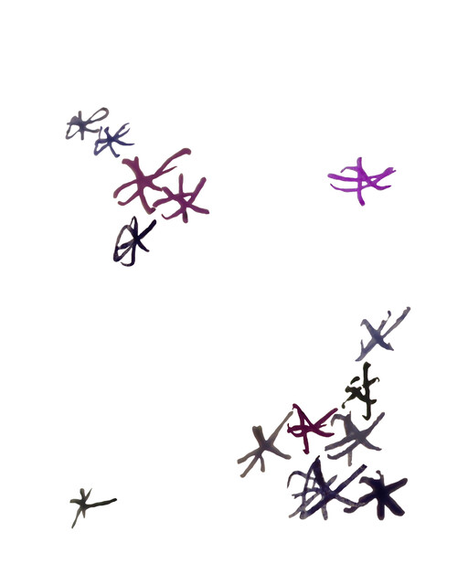Significances IV, (2013 Meetings) — Zeyno Pekünlü (2024)