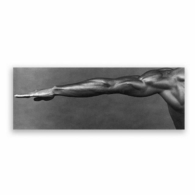 Robert Mapplethorpe | Artists | USF Graphicstudio