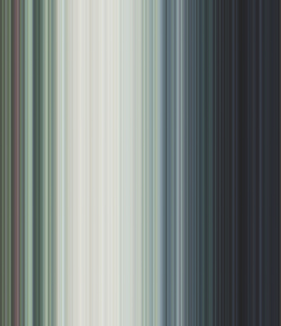 Water Lilies (256 Stripes) — Yağız Özgen (2015)
