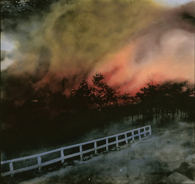 Linda Fregni Nagler, ‘Untitled (CAT_012_ML_LFN)’, 2018, Print, Hand painted gelatin silver print on direct positive paper, Monica De Cardenas