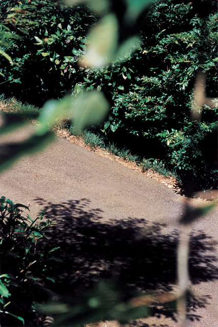 Takuma Nakahira, ‘Why an illustrated human-animal dictinonary #20-190’, 2004, Aki Gallery