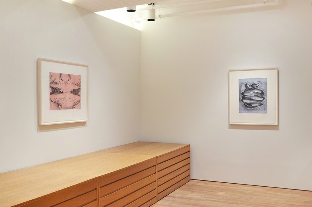 Bruce Nauman, Soft Ground Etching - Rose, 2007; Soft Ground Etching - Blue, 2007 Bruce Nauman, Soft Ground Etching - Rose, 2007; Soft Ground Etching - Blue, 2007