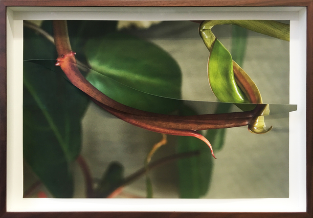 Sinta Werner, ‘Spaltungsirresein XI’, 2018, Other, Sliced and folded archive pigment print, alexander levy