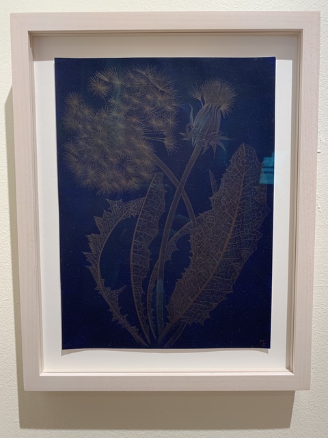 Margot Glass, ‘Blue Dandelion’, 2019, Drawing, Collage or other Work on Paper, 14 karat gold on prepared paper, Garvey | Simon