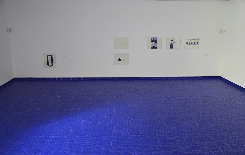 The Witness, 2016
site-specific installation, circa 1300 indigo sheets on the floor, 8x8,5 m
The Witness, 2016
site-specific installation, circa 1300 indigo sheets on the floor, 8x8,5 m