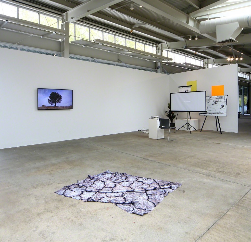 Tongue-in-Cheek at di Rosa, Napa (installation view) Tongue-in-Cheek at di Rosa, Napa (installation view)