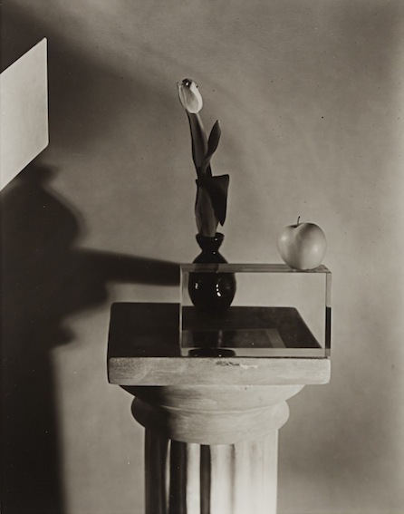 Untitled (1706), 1986, platinum-palladium contact print, 20.3 x 25.4 cm
© Jan Groover, Courtesy Janet Borden Inc., New York and KLEMM’S, Berlin Untitled (1706), 1986, platinum-palladium contact print, 20.3 x 25.4 cm
© Jan Groover, Courtesy Janet Borden Inc., New York and KLEMM’S, Berlin