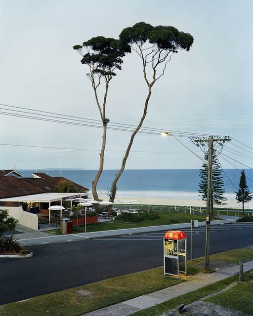 Amy Stein and Stacy Arezou Mehrfar, ‘Two Tall Trees, Mollymook’, 2010, ClampArt