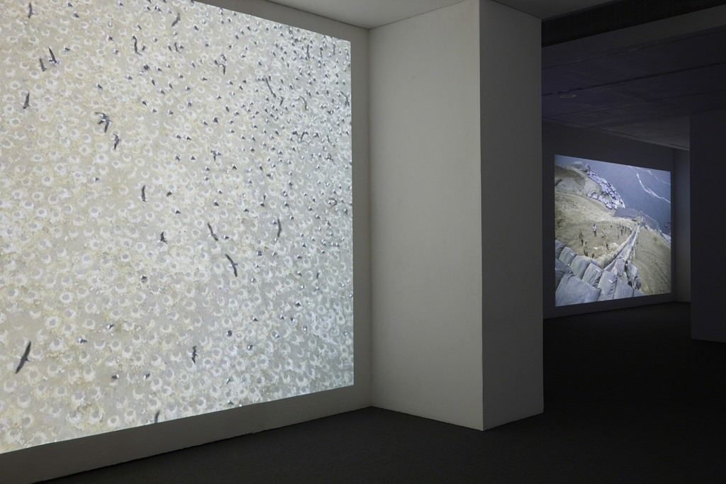 Dinh Q Lê, The Colony. Installation, Ikon Gallery, 2016. Image courtesy Ikon Gallery. Photo Stuart Whipps Dinh Q Lê, The Colony. Installation, Ikon Gallery, 2016. Image courtesy Ikon Gallery. Photo Stuart Whipps