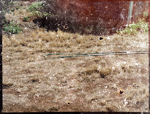 Odette England, ‘Mum #13 (Left Foot) ’, 2012, Photography, Archival Pigment Print, from damaged negative, on Museo Portfolio Rag, KLOMPCHING GALLERY
