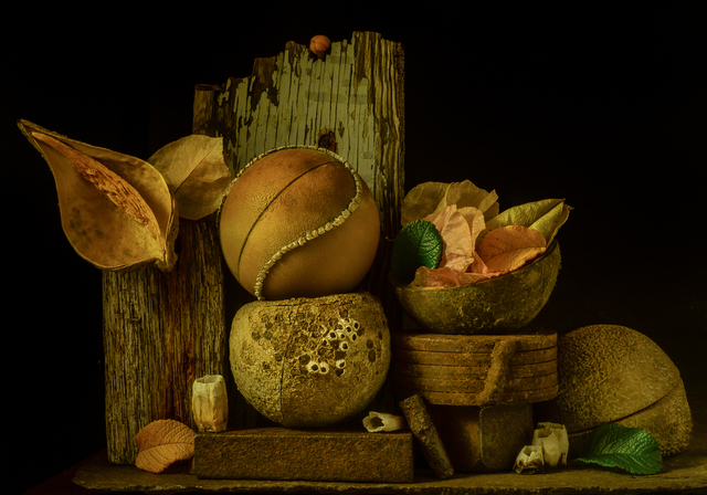 Allan Markman, ‘Still Life with Barnacles, Balls and Bougainvillea’, Soho Photo Gallery