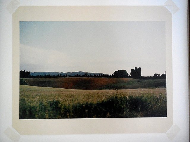 Joel Meyerowitz, ‘Tuscany, Hillside, 1996’, 1996, Lions Gallery