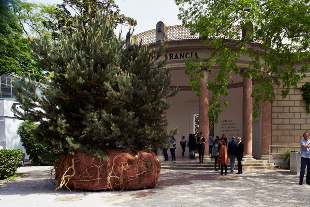 Céleste Boursier-Mougenot, ‘transHumUs / projet (Installation View)’, 2015, 56th Venice Biennale