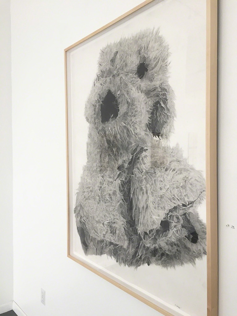 "Dog" by Aida Gamez, 50" x 39" framed graphite pencil drawing "Dog" by Aida Gamez, 50" x 39" framed graphite pencil drawing