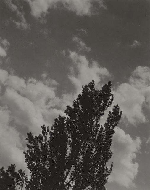 Alfred Stieglitz, ‘Portrait - K. N. R., No. 2’, 1923, Photography, Gelatin silver prints mounted on paperboard, Bowdoin College Museum of Art