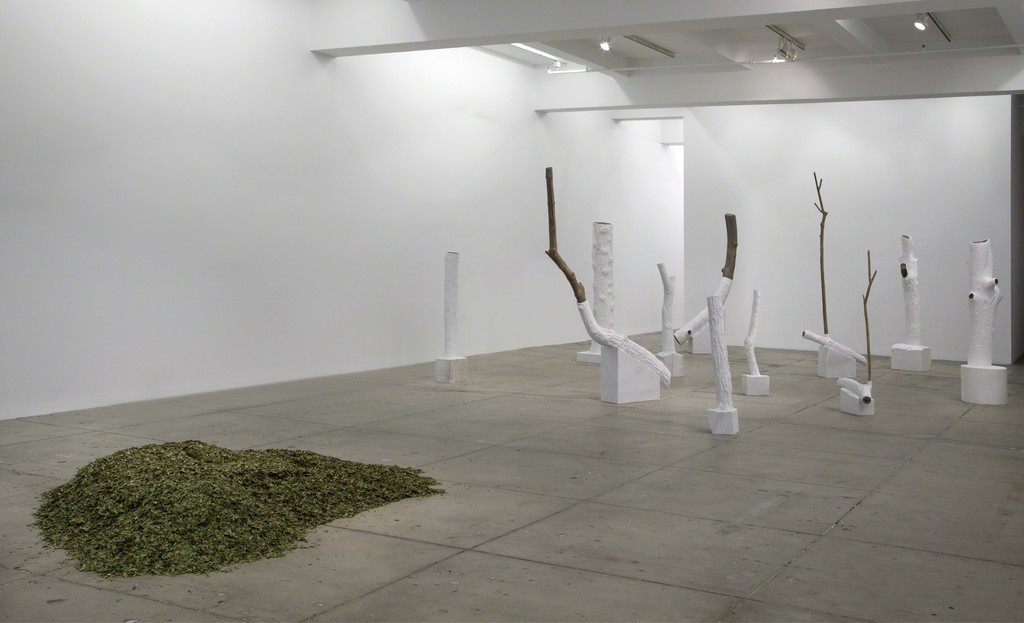 Giuseppe Penone: Indistinti confini/ Indistinct Boundaries; Installation View; Marian Goodman Gallery, New York; March 18 – April 25, 2015 Giuseppe Penone: Indistinti confini/ Indistinct Boundaries; Installation View; Marian Goodman Gallery, New York; March 18 – April 25, 2015