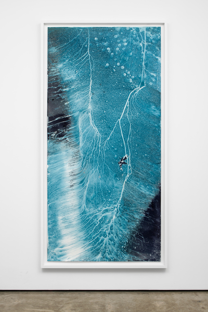 Meghann Riepenhoff, ‘Ecotone #862 (Bainbridge Island, WA Unknown Date of First Exposure, Draped in Rain Garden)’, 2020, Photography, Dynamic cyanotype, Lora Reynolds Gallery