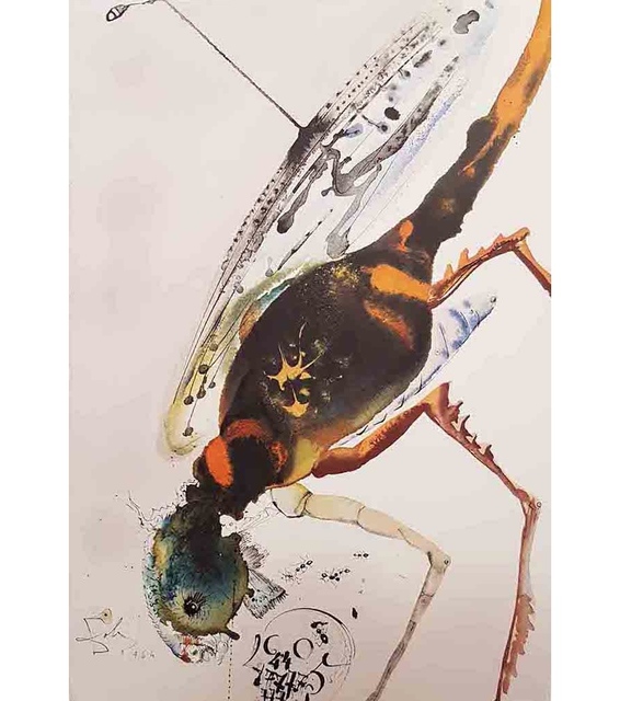 Salvador Dalí, ‘Lochusta et Bruchus - From "Biblia Sacra"’, 1964, Wallector