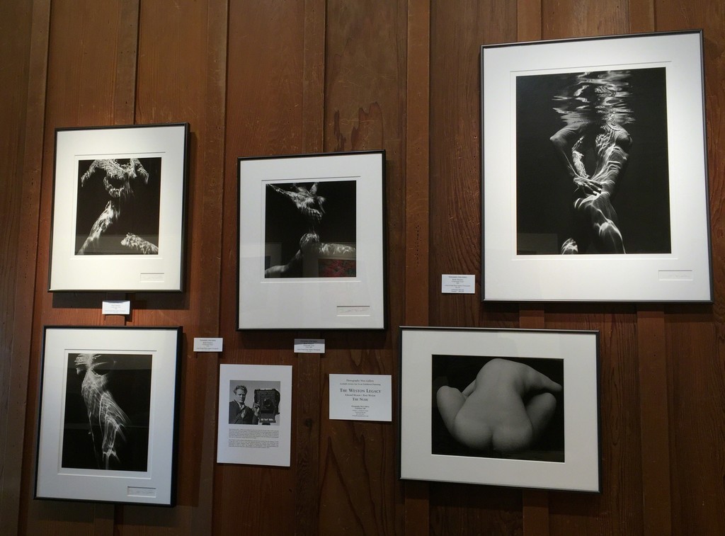 Nudes by Brett Weston Nudes by Brett Weston