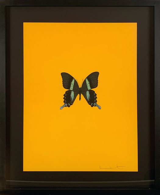 Damien Hirst, ‘Six Butterflies III’, 2011, DTR Modern Galleries