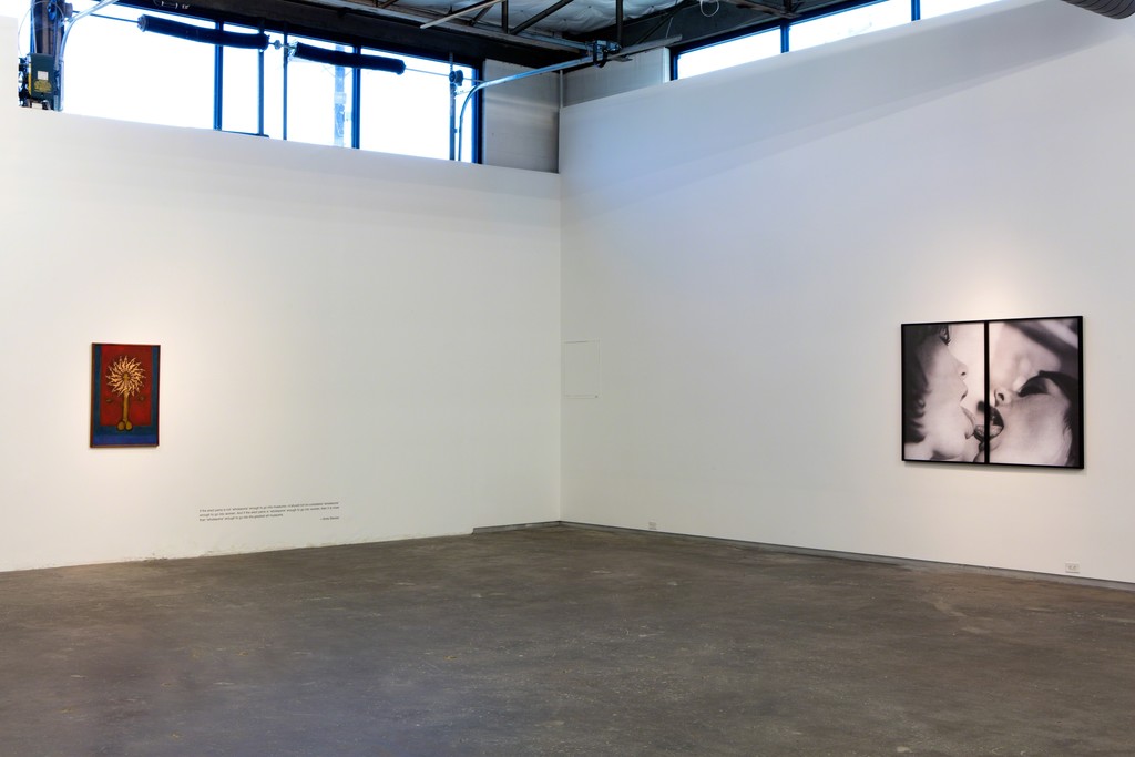 Black Sheep Feminism. Installation view, Dallas Contemporary, 2016. Photo: Kevin Todora Black Sheep Feminism. Installation view, Dallas Contemporary, 2016. Photo: Kevin Todora