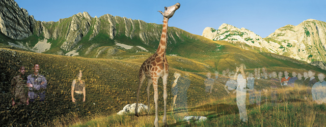 Oleg Kulik, ‘Windows Series : Giraffe’, 2000-2001, Léna & Roselli Gallery