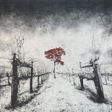 Antoine Josse