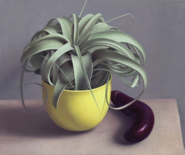 Amy Weiskopf, ‘Airplant and Eggplant’, 2016, Clark Gallery