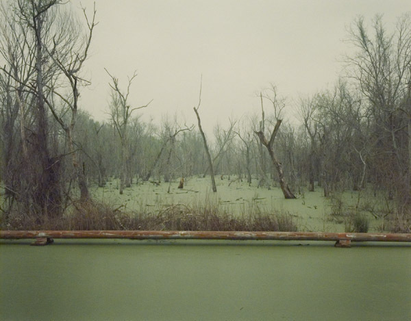 Richard Misrach, ‘Swamp and Pipeline, Geismar, Louisiana’, 1998, Photography, Chromogenic dye coupler print, Robert Mann Gallery