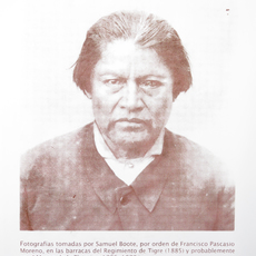 Cristina Piffer