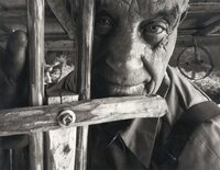 The Woodworker