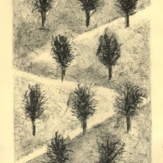 Shira Toren