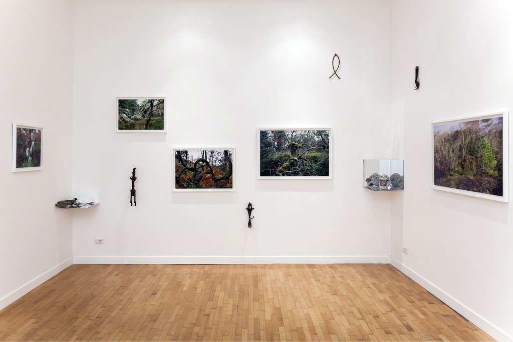 Installation view: Elaine Byrne, "La Diritta Via" Installation view: Elaine Byrne, "La Diritta Via"