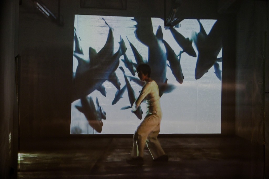 Doris Schmid, "BLINK", 2-channel video installation, 2013 | image: ©dasesszimmer Doris Schmid, "BLINK", 2-channel video installation, 2013 | image: ©dasesszimmer