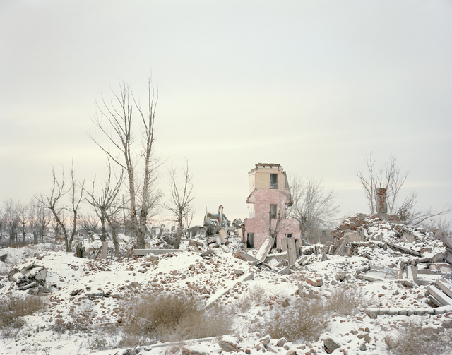 Nadav Kander, ‘Kurchatov I (Scientific Research Facility), Kazakhstan’, 2011, Flowers