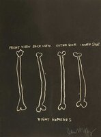 Jean-Michel Basquiat - Untitled (Right Humerus) From Anatomy