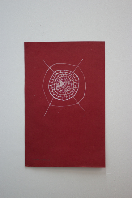 Sheroanawë Hakihiiwë, ‘Tela de Araña’, 2012, ABRA