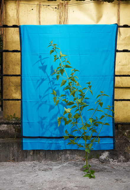 Flo Maak, ‘Blue (Red Green’, 2020, Photography, Pigment print in artist frame with museum glass, Bernhard Knaus Fine Art