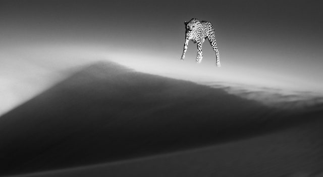 David Yarrow, ‘Ethereal Dune’, 2013, Photography, Archival Pigment Photograph, Holden Luntz Gallery