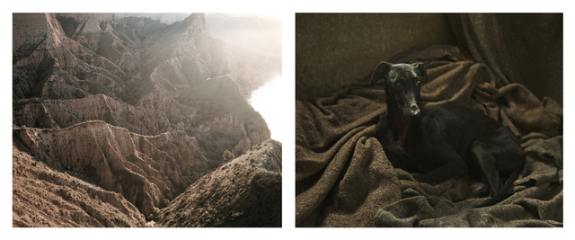 Martin Usborne, ‘Ravine & Galgo’, 2015, Adamson Gallery