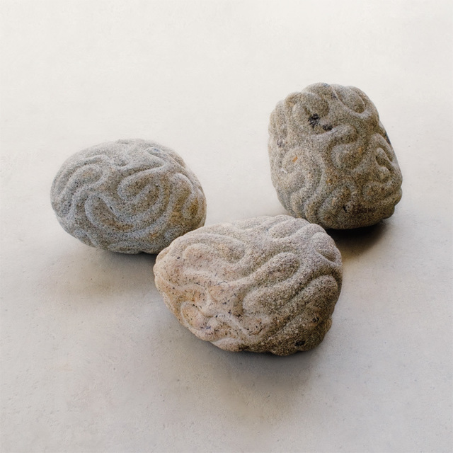 Peter Randall-Page, ‘Twixt Line and Form’, Anima Mundi