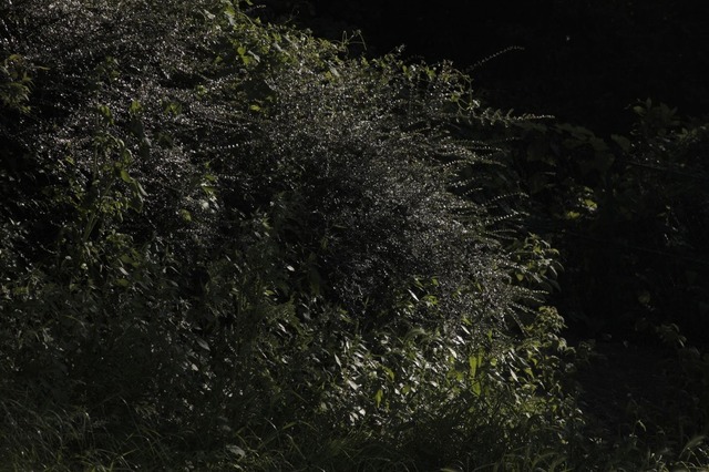 Gleb Kosorukov, ‘BEL AIR’, 2009-2010, Rizzordi Art Foundation
