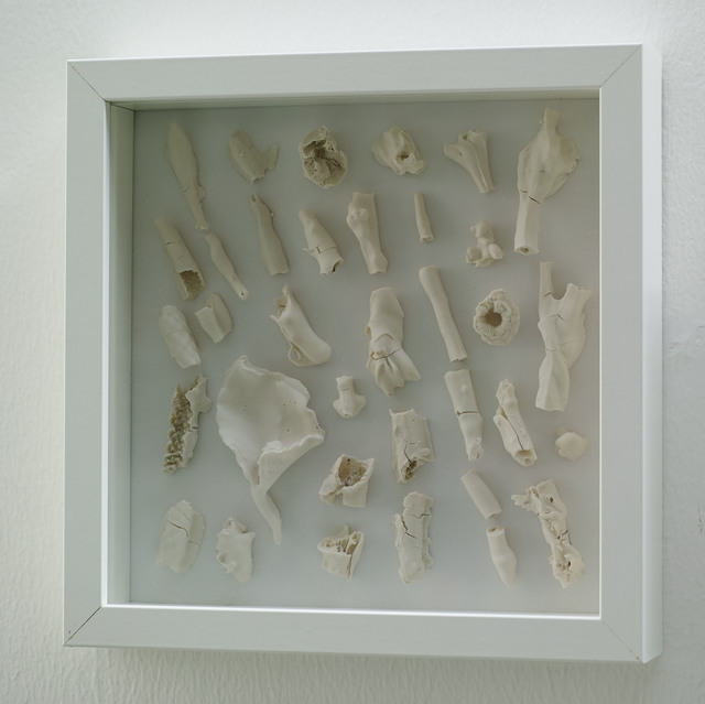 , '干燥植物 Herbarium ,' 2017, Amy Li Gallery