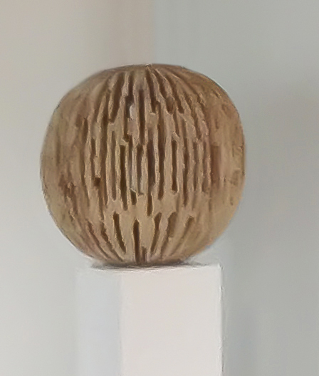 Urs P.-Twellmann, ‘Linde Geöffnet Kugelförmig’, 2014, GALERIE URS REICHLIN