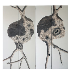 Zoe Ouvrier
