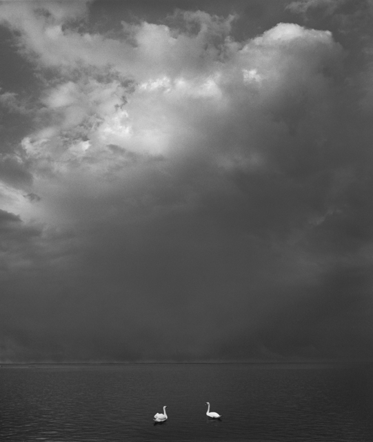 Pentti Sammallahti, ‘Kirkkonummi, Finland’, 2016, Photography, Gelatin Silver Print, Peter Fetterman Gallery