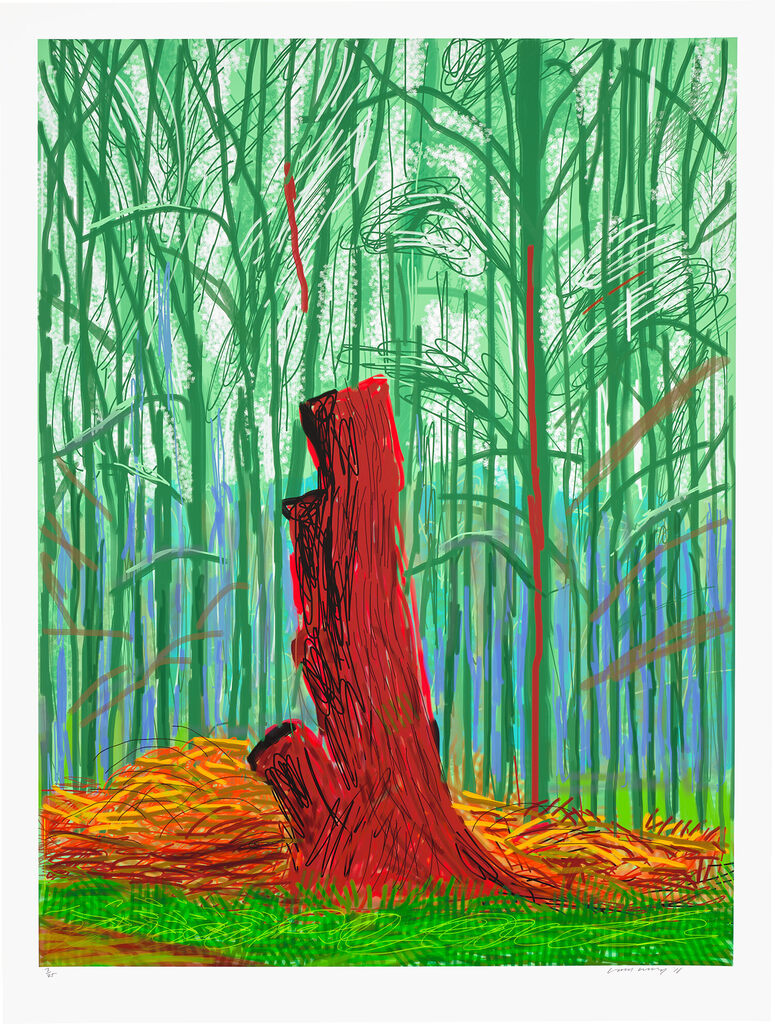 David Hockney - The Arrival of Spring in Woldgate, East Yorkshire in 2011 (twenty eleven) – 25 February