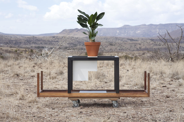 Florian Slotawa, ‘Local Plants (Strelitzia)’, 2012, Sies + Höke