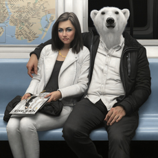 Matthew Grabelsky
