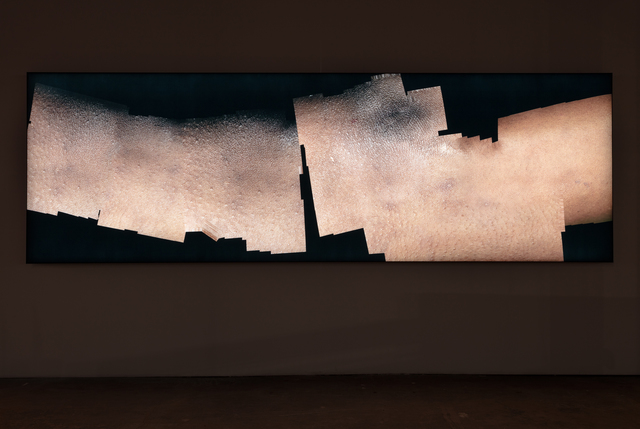 Seth Price, ‘Ariana’, 2015, Mixed Media, Dye-sublimation print on synthetic fabric, aluminum, LED matrix, Petzel Gallery